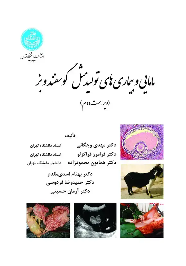 جلد کتاب مامایی و بیماری‌های تولیدمثل گوسفند و بز