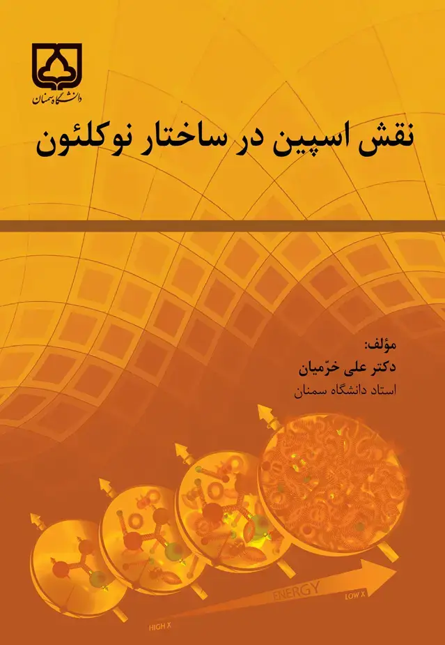 جلد کتاب نقش اسپین در ساختار نوکلئون