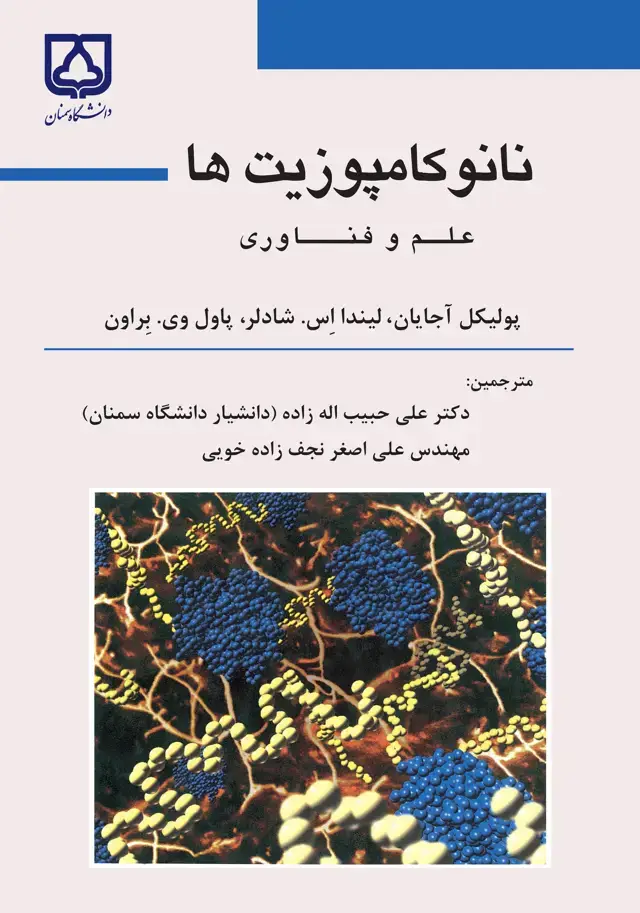 جلد کتاب نانوکامپوزیتها: علم و فناوری