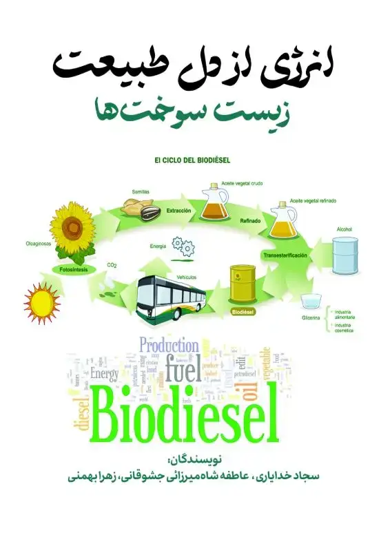 جلد کتاب انرژی از دل طبیعت (زیست سوختها)