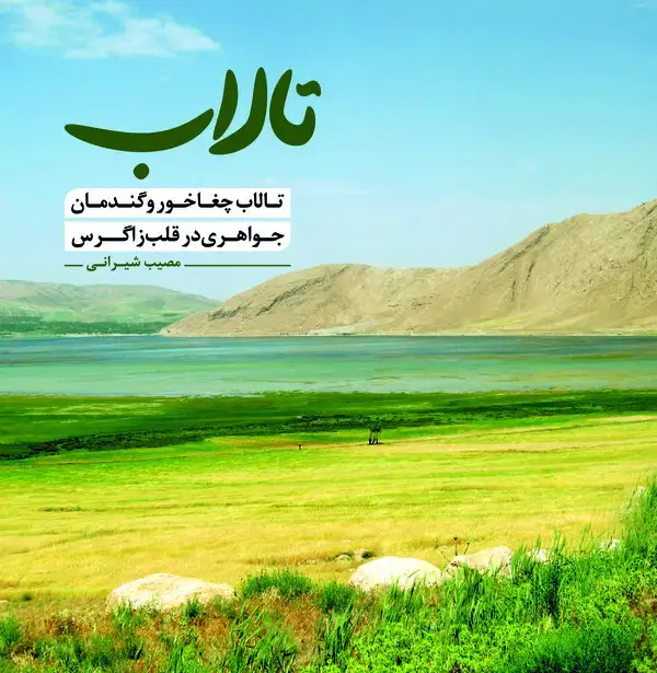 جلد کتاب تالاب