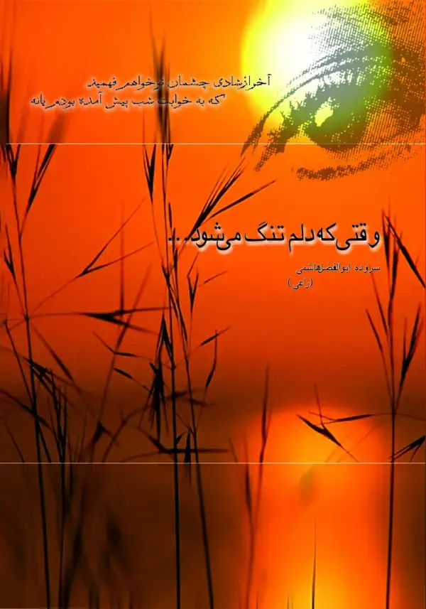 جلد کتاب وقتی که دلم تنگ می‌شود ...