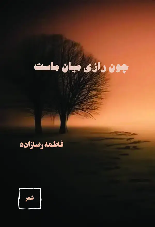 جلد کتاب چون رازی میان ماست
