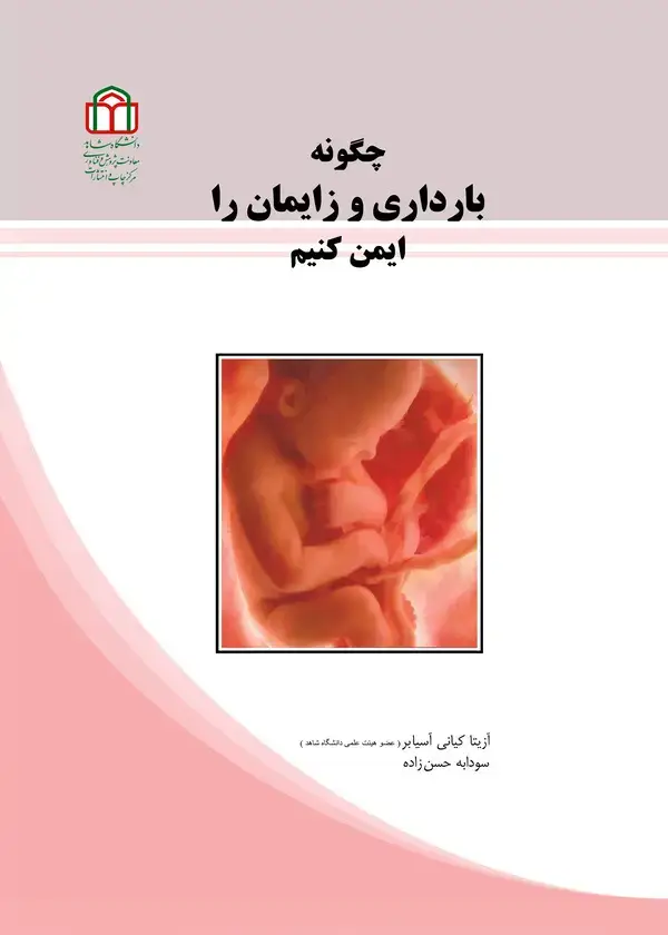 جلد کتاب چگونه بارداری و زایمان را ایمن کنیم؟