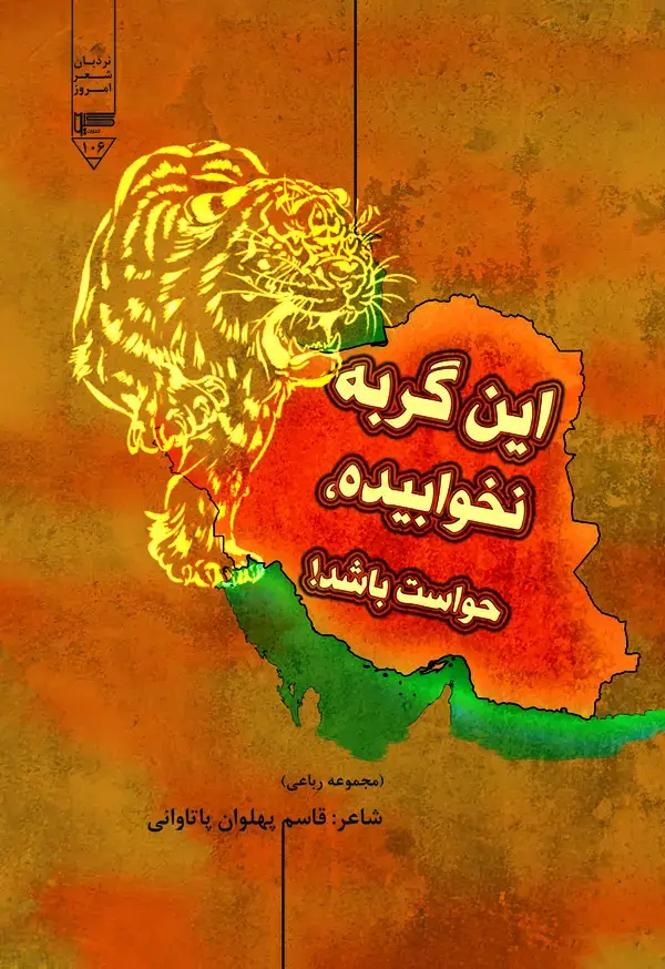 جلد کتاب این گریه نخوابیده حواست باشد!