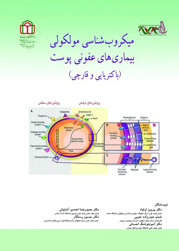 جلد کتاب میکروب شناسی مولکولی بیماری های عفونی پوست