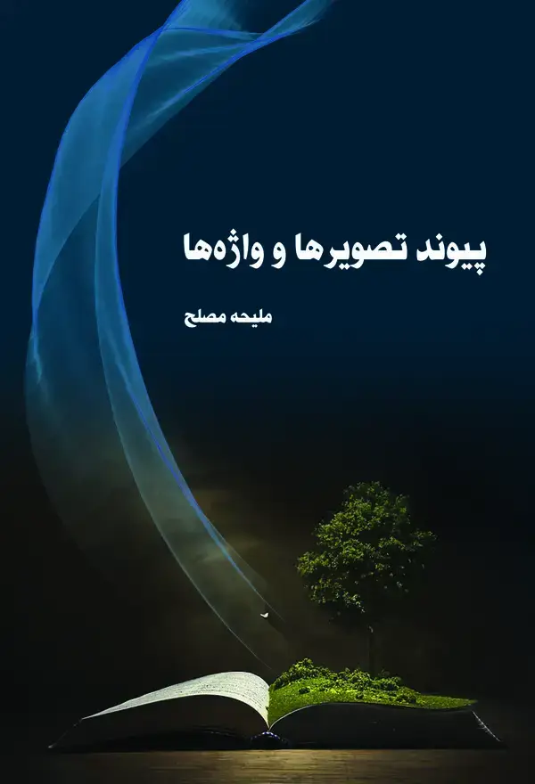جلد کتاب پیوند تصویرها و واژه‌ها
