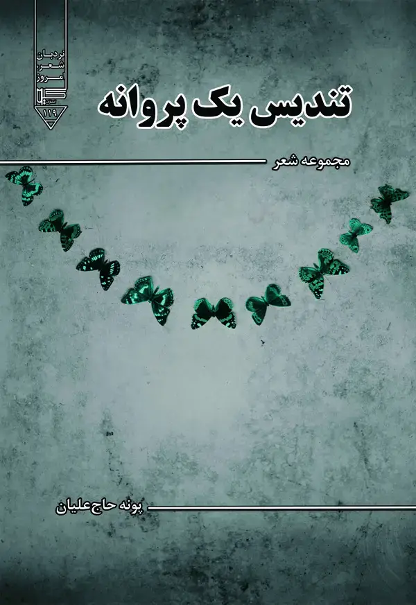 جلد کتاب تندیس یک پروانه