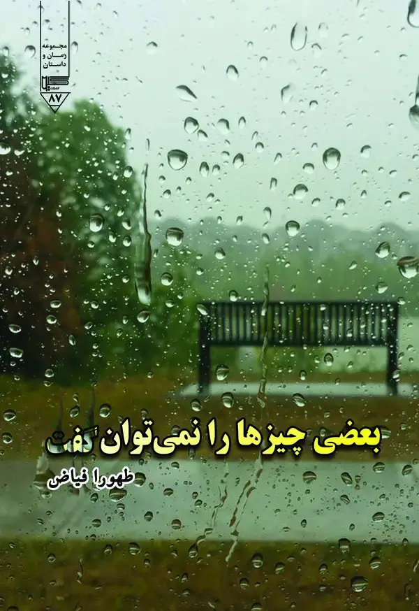 جلد کتاب بعضی چیزها را نمی توان گفت