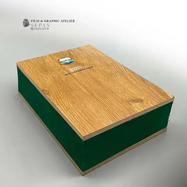 جلد کتاب مثنوی معنوی (مجموعه دیار ما 2)