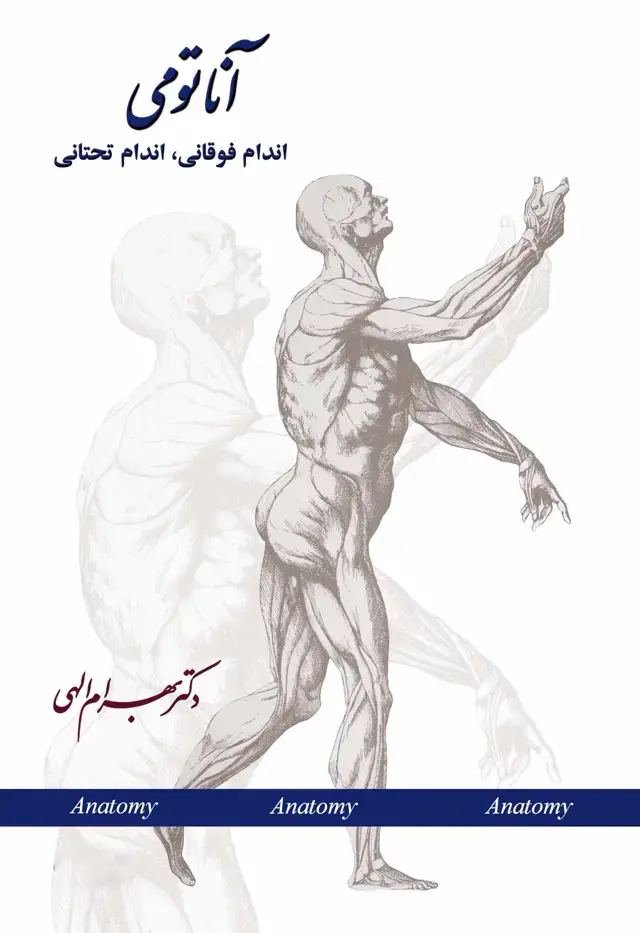 جلد کتاب آناتومی (اندام فوقانی اندام تحتانی)
