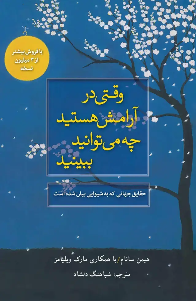 جلد کتاب وقتی در آرامش هستید چه می‌توانید ببینید