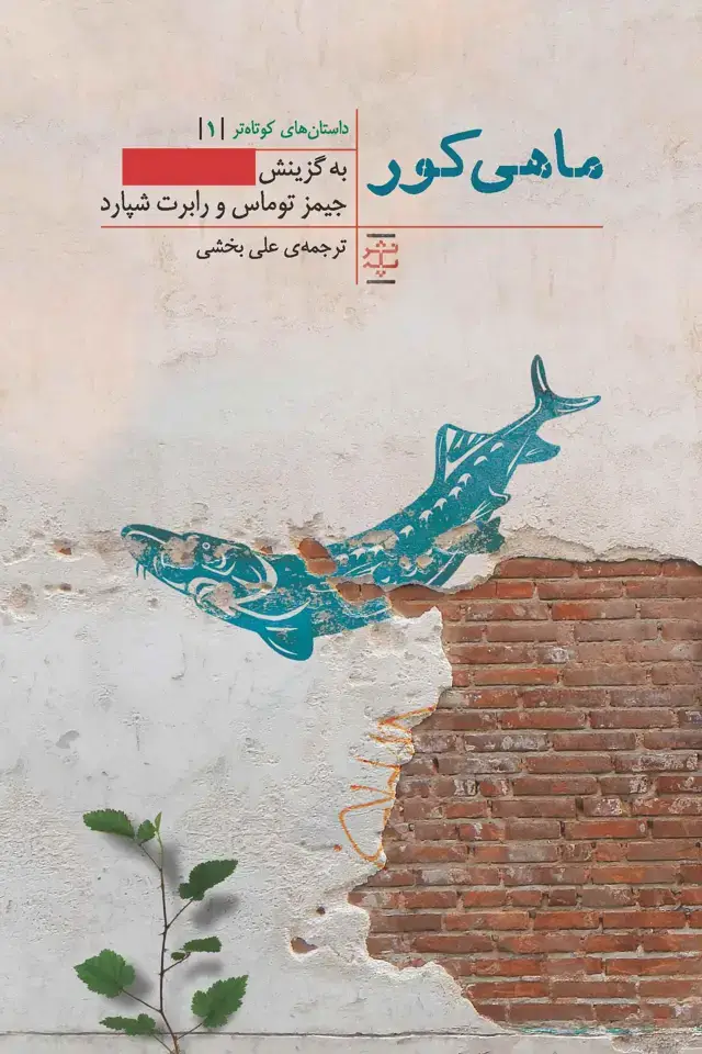 جلد کتاب ماهی کور (داستان‌های بسیار کوتاه)