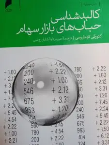 جلد کتاب کالبد شناسی حباب های بازار سهام
