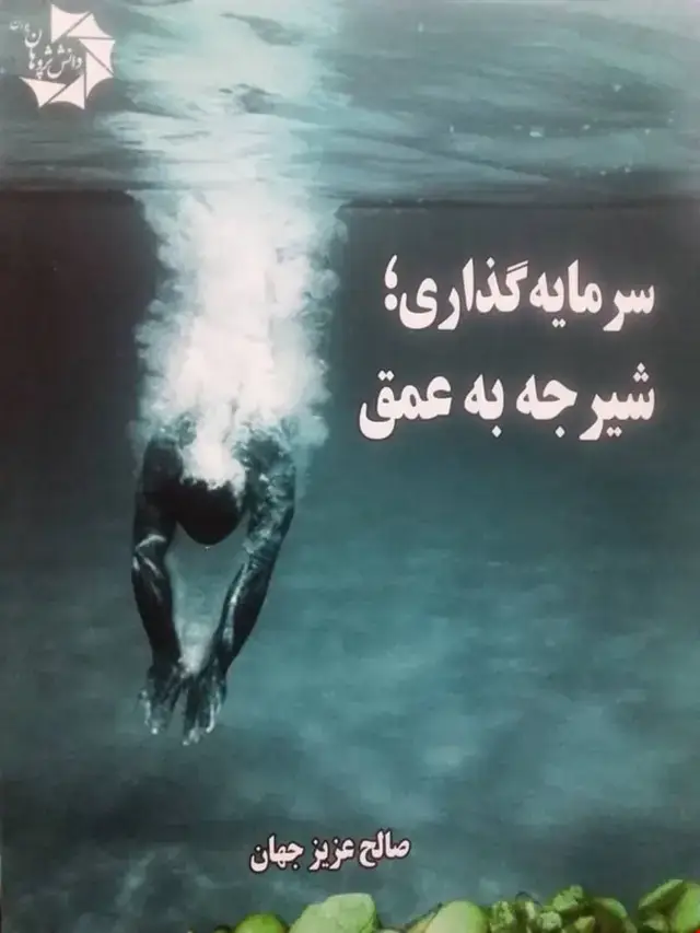 جلد کتاب سرمایه گذاری -شیرجه به عمق