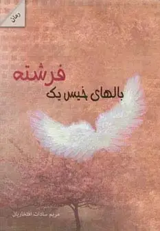 جلد کتاب بالهای خیس یک فرشته
