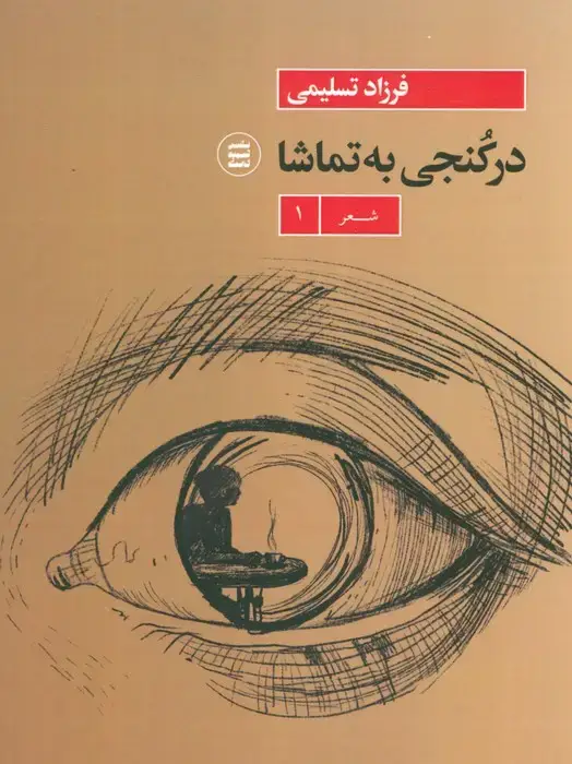 جلد کتاب در کنجی به تماشا