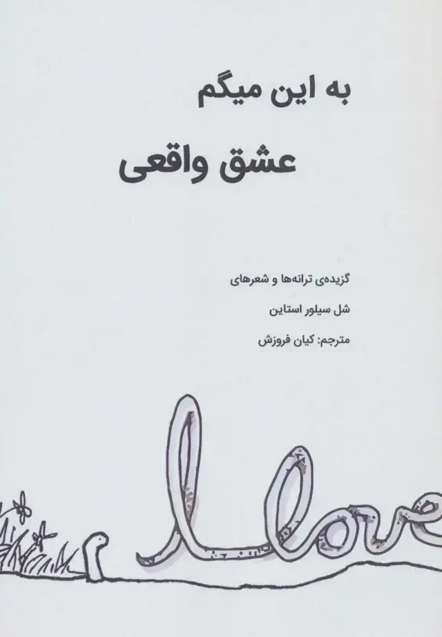 جلد کتاب به این میگم عشق واقعی