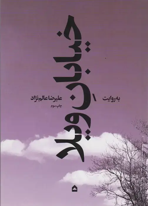 جلد کتاب خیابان ویلا