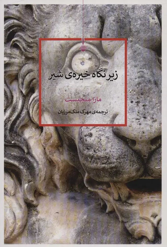 جلد کتاب زیر نگاه خیره ی شیر