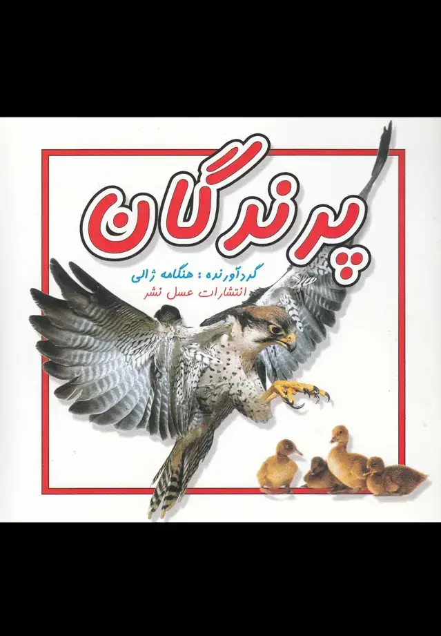 جلد کتاب پرندگان (عسلنشر)