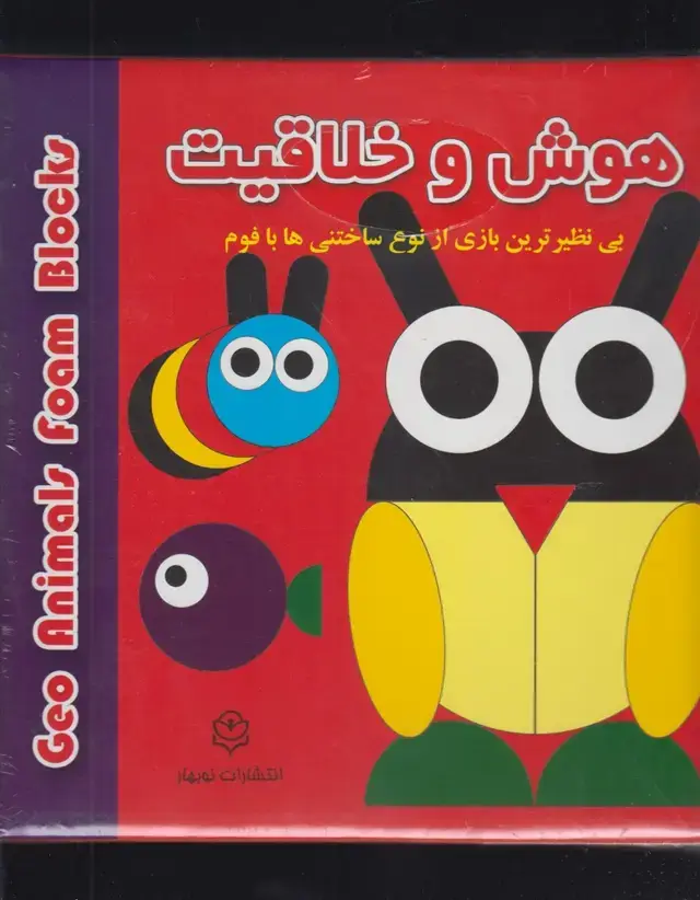جلد کتاب هوش و خلاقیت (ساختنی‌بافوم)