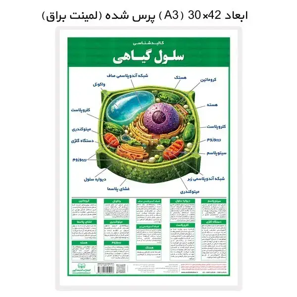 جلد کتاب کالبدشناسی (سلول‌گیاهی،لمینت)