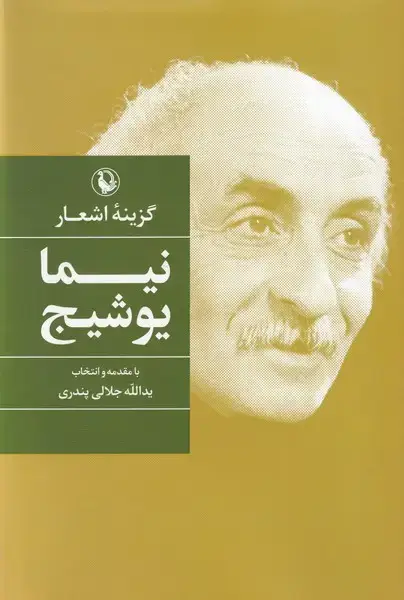 جلد کتاب گزینه اشعار (نیمایوشیج،سلفون)