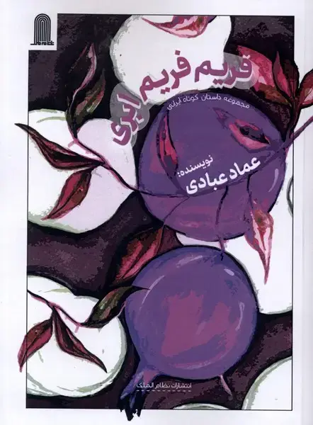 جلد کتاب فریم فریم ابری