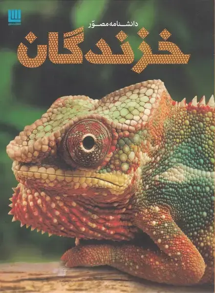 جلد کتاب دانشنامه مصور خزندگان (برگ زیتون)