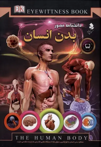 جلد کتاب دانشنامهمصور (بدنانسان)