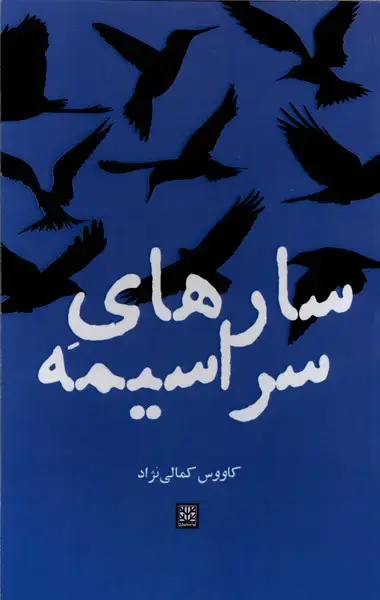 جلد کتاب سارهای سراسیمه
