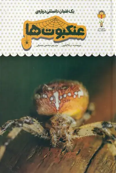 جلد کتاب یک فنجان دانستنی دربارهی (25) عنکبوتها (نوشته)