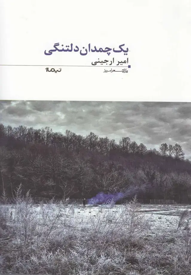 جلد کتاب پازل شعر امروز (35) یک‌چمدان‌دلتنگی