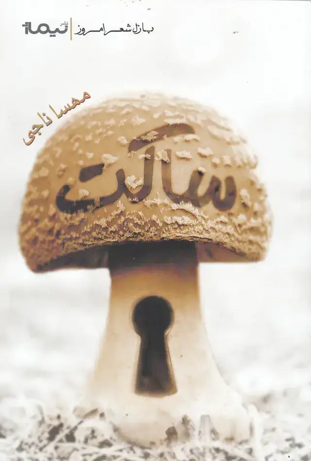 جلد کتاب پازل شعر امروز (ساکت)