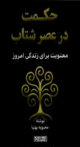 جلد کتاب حکمت در عصر شتاب