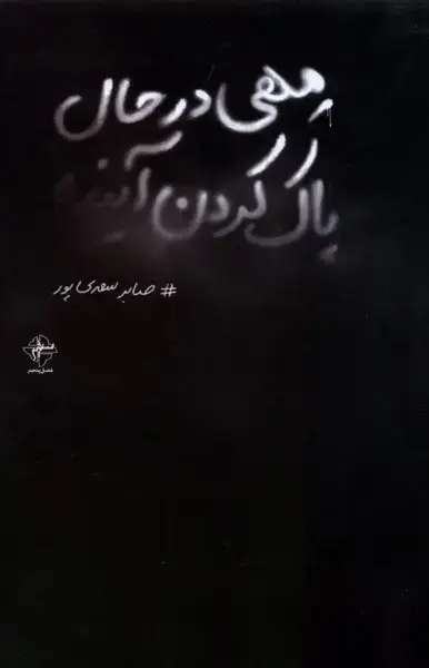 جلد کتاب مهی در حال پاک کردن آینده