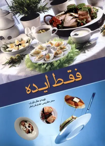 جلد کتاب فقط ایده