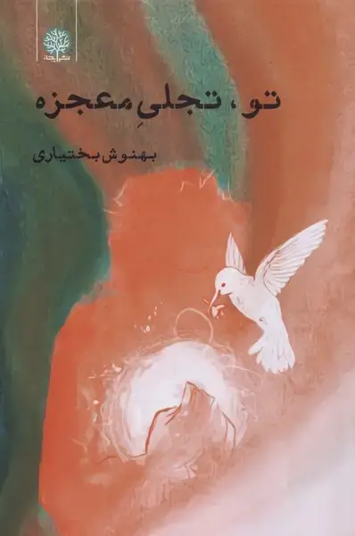 جلد کتاب تو،تجلی معجزه (ایجاز)