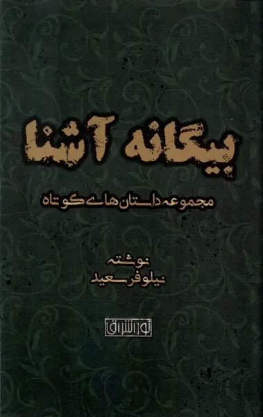 جلد کتاب بیگانه آشنا