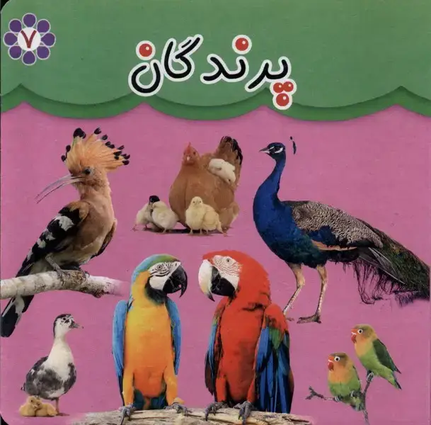 جلد کتاب پرندگان