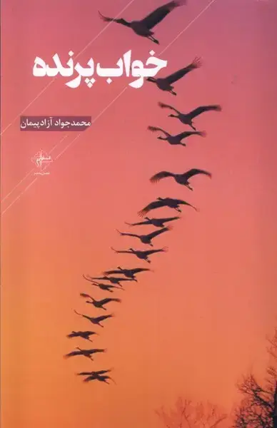 جلد کتاب خواب پرنده (فصل‌پنجم)