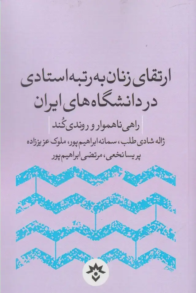 جلد کتاب ارتقای زنان به رتبه استادی در دانشگاه (مطالعات)