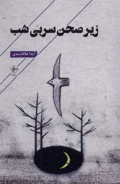 جلد کتاب زیر صحن سربی شب (فصل‌پنجم)
