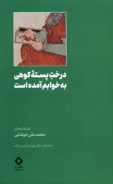 جلد کتاب درخت پسته‌ی کوهی به خوابم آمده است (مسین)