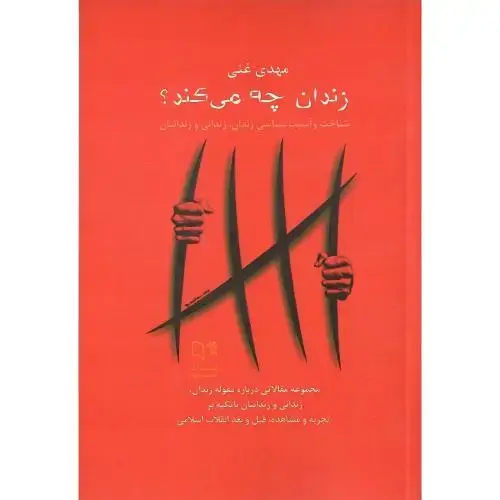 جلد کتاب زندان چه می کند؟