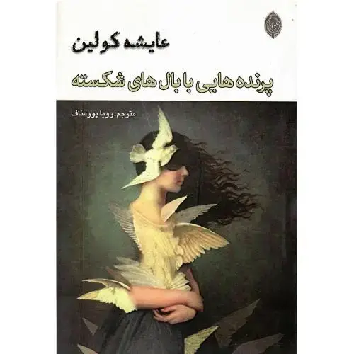 جلد کتاب پرنده‌هایی با بال‌های شکسته