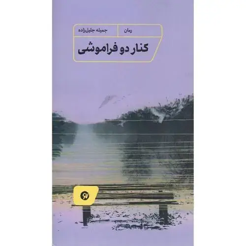 جلد کتاب کنار دو فراموشی