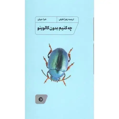 جلد کتاب چه کنیم بدون کالوینو