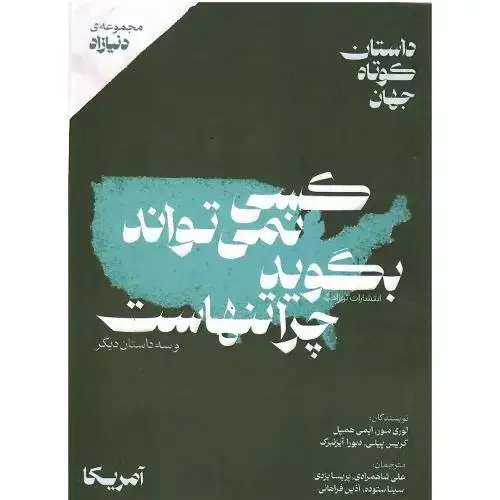 جلد کتاب کسی نمی‌تواند بگوید چرا تنهاست